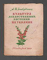 Закордонец А.И. Культура лекарственных растений на Украине.