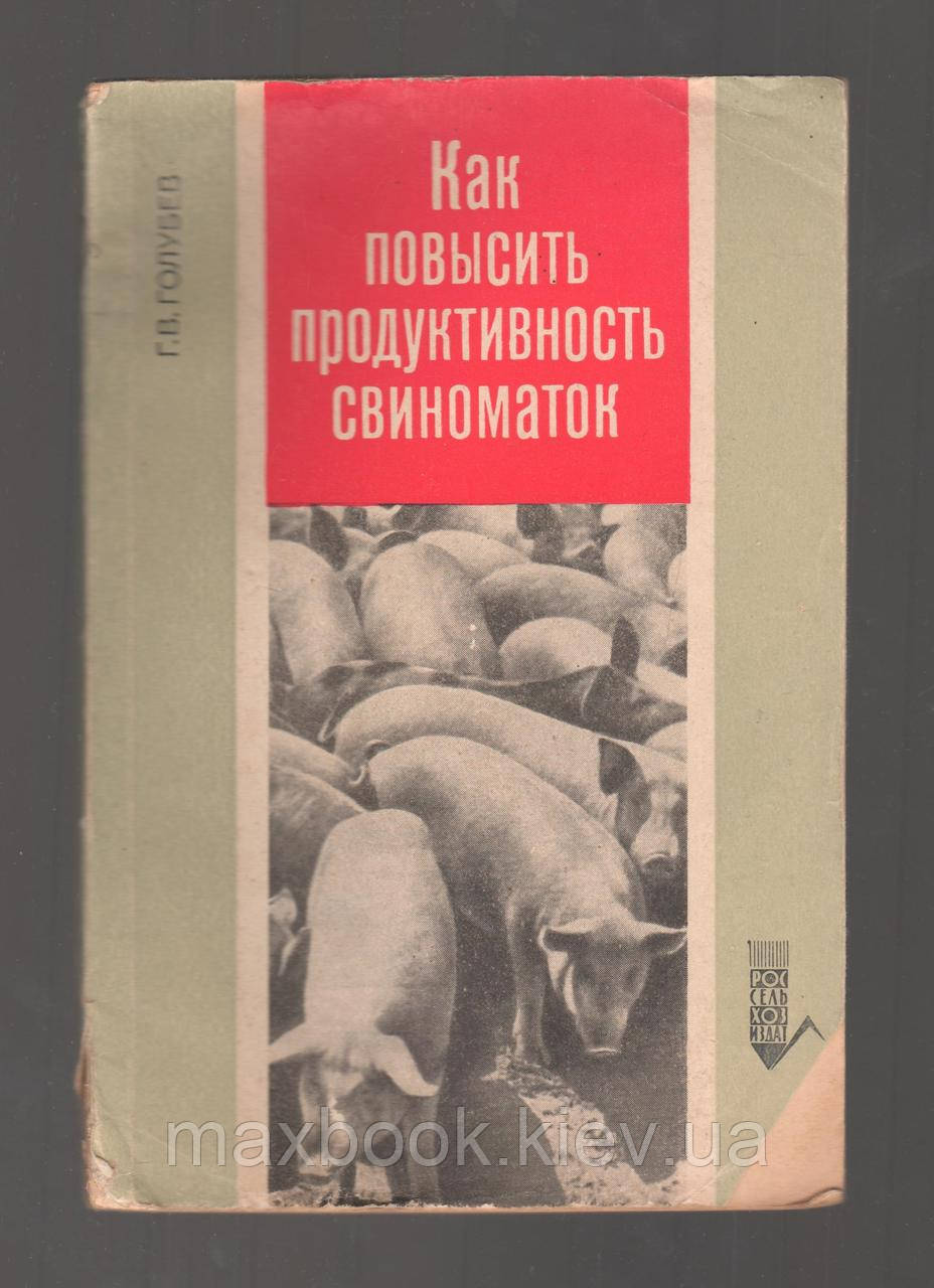 Голубий Г.В., як поліпшити продуктивність свиноматок.