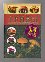 Гміндер А., Бенінг Т. Гриби. Ілюстрований довідник.