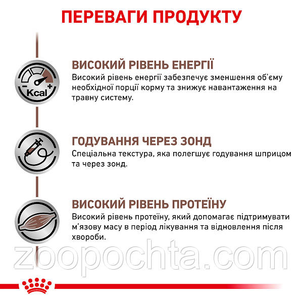 Купить Влажный лечебный корм Royal Canin Recovery для собак и кошек 0,195КГ  • Цена от зоомагазина «ЗООПОЧТА» - 298293112