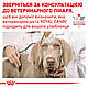 Вологий лікувальний корм Royal Canin Recovery для собак і кішок 0,195КГ, фото 6