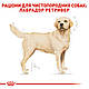 Сухий корм Royal Canin Labrador Retriever Adult для собак 12КГ, фото 2