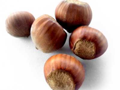 Фундук азербайджанський "Ата баба" (Ata Baba) (преміальний, пізній сорт)