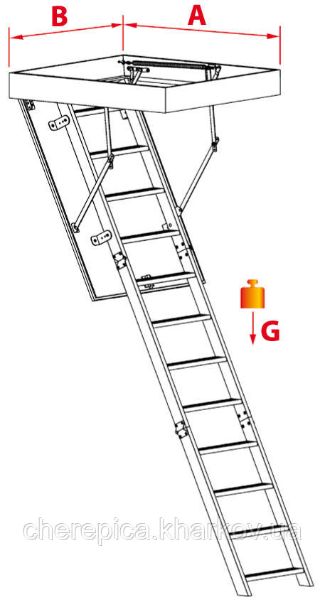 Горищні сходи OMAN Komfort, фото 1