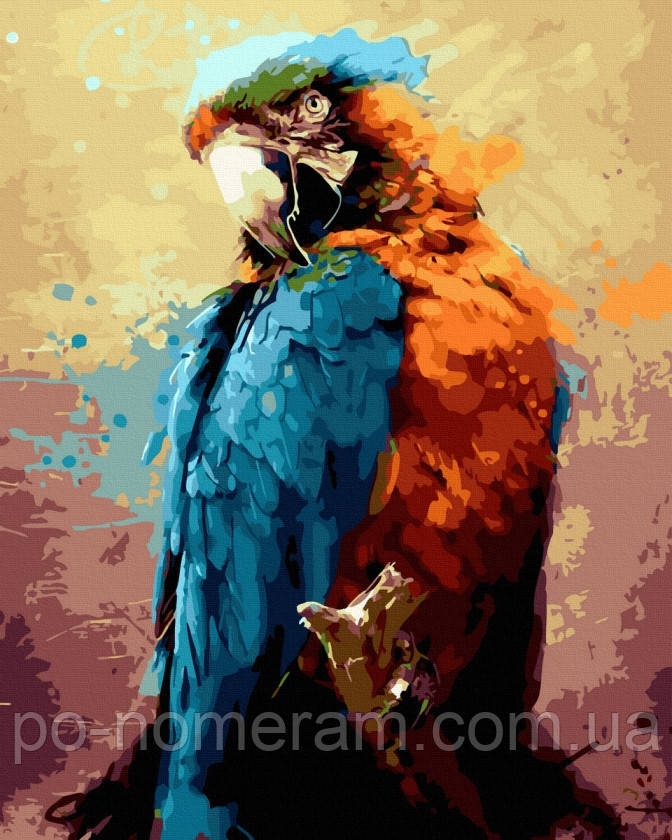 Купить Раскраски по номерам Попугай (BK-GX43001) 40 х 50 см (Без ...