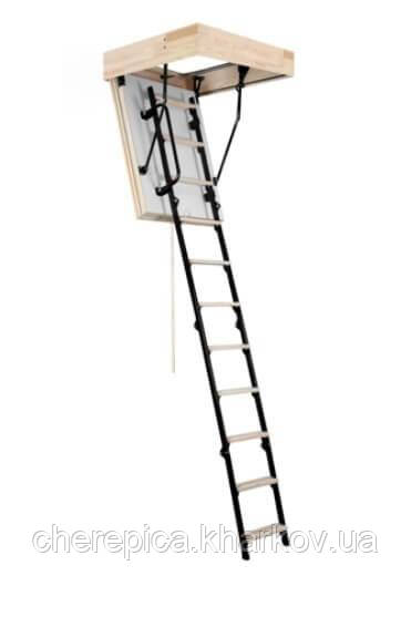 Горищні сходи OMAN MINI POLAR, фото 1