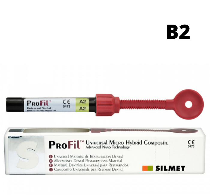 PROFIL шприц В2, 4 г універсальний реставраційний композит (Silmet), фото 1