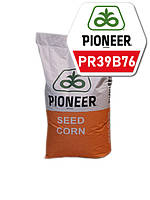 Насіння кукурудзи Пионер PR39B76 (Brevant) ФАО - 280