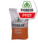 Насіння кукурудзи Пионер P9127 (Brevant) ФАО - 310
