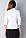 Біла бавовняна ділова блузка, комір — сорочковий, Р101, фото 5
