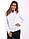 Блуза біла, довгий рукав, оворот-стійка Р104, фото 9