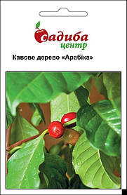 Семена кофейное дерево Арабика 1 г, Hem Zaden