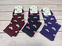 Шкарпетки жіночі середньої довжини бавовняні з принтом 36-39 розмір з малюнком Серце мікс кольорів 12 штук паковання