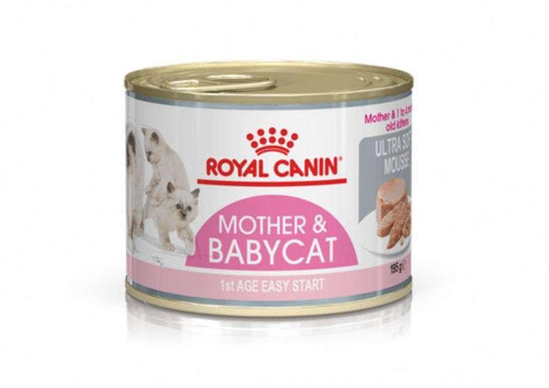 Royal Canin (Роял Канін) Mother & Babycat Mousse - Консервований корм для кошенят з моменту відлучення до 4 мі, фото 1