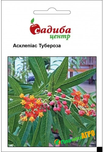 Семена цветов Асклепиас Тубероза (Бадваси), 0,1г - фото 1 - id-p1212829494