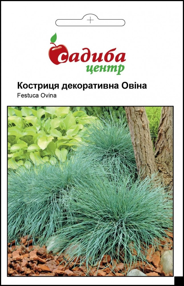 Насіння квітів Костриця Стодоли (Бадваси), 0,1 г