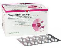 Клавасептин 250 мг (Clavaseptin) для котів і собак аналог синулокса