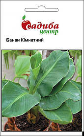 Семена Банан комнатный 3 шт, Hem Zaden