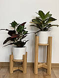 Підставка дерев'яна для квітів із тарілкою 20х30 см, фото 7
