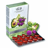 Артишок Холін Швейцарія, у капсулах, фото 2