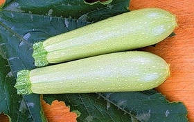 Семена кабачка Искандер F1, 1 шт, Seminis (Семинис), Голландия
