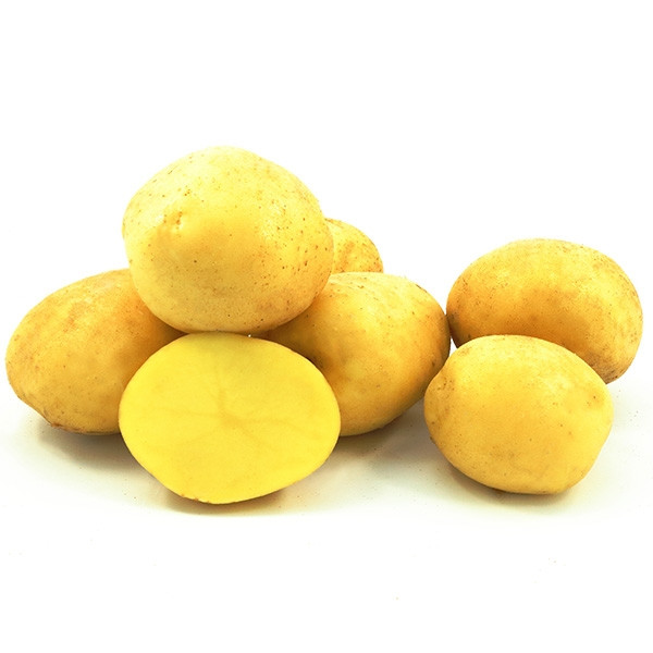 Насіннєву картоплю Констанс 1 репродукція 2,5 кг