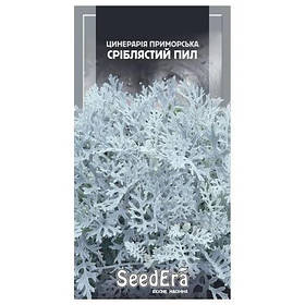 Семена Цинерарии серебристая пыль 0,1 г, Seedera