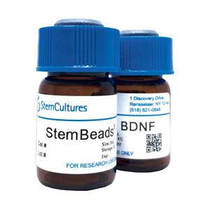StemBeads GDNF 1 мл. BX048