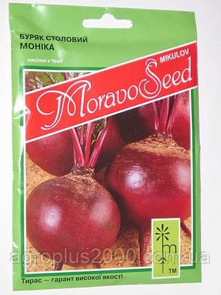 Насіння буряку їдальня Моніка 20 грамів Moravoseed, фото 2