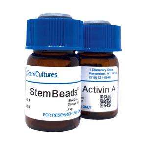 StemBeads Activin-A -1 мл. BX021