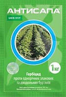Гербіцид вибіркової дії Антисапа 1 кг, Ukravit (Укравіт), Україна