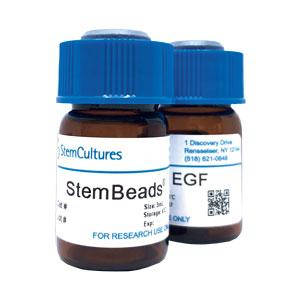 StemBeads EGF BX050