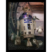 Постер в раме Star Wars The Last Jedi (R2-D2 & Porgs) / Звёздные войны 30 х 40 см