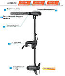 Електромотор для човна Haswing Protruar 2.0 л. с. 85lbs 12В безщітковий, фото 5