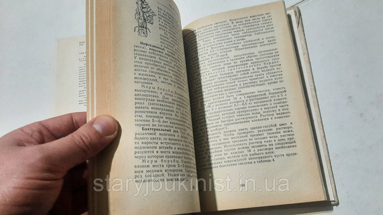 Настольная книга виноградаря Н.Коваль - фото 5 - id-p1576682993