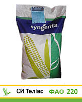 СИ Телиас, ФАО 220, семена кукурузы Syngenta (Сингента)