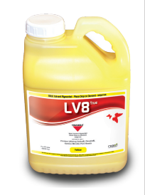 Triangle LV8, фото 2