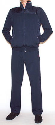 Спортивний костюм чоловічий трикотаж  Mxtim/Avic 5016 (L), фото 3