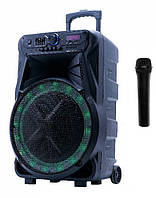 Беспроводная акустическая система GT-6025, Gp, Большая переносная Bluetooth колонка с микрофоном для пения