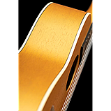 Укулеле Ortega RUGOLD Concert, фото 4