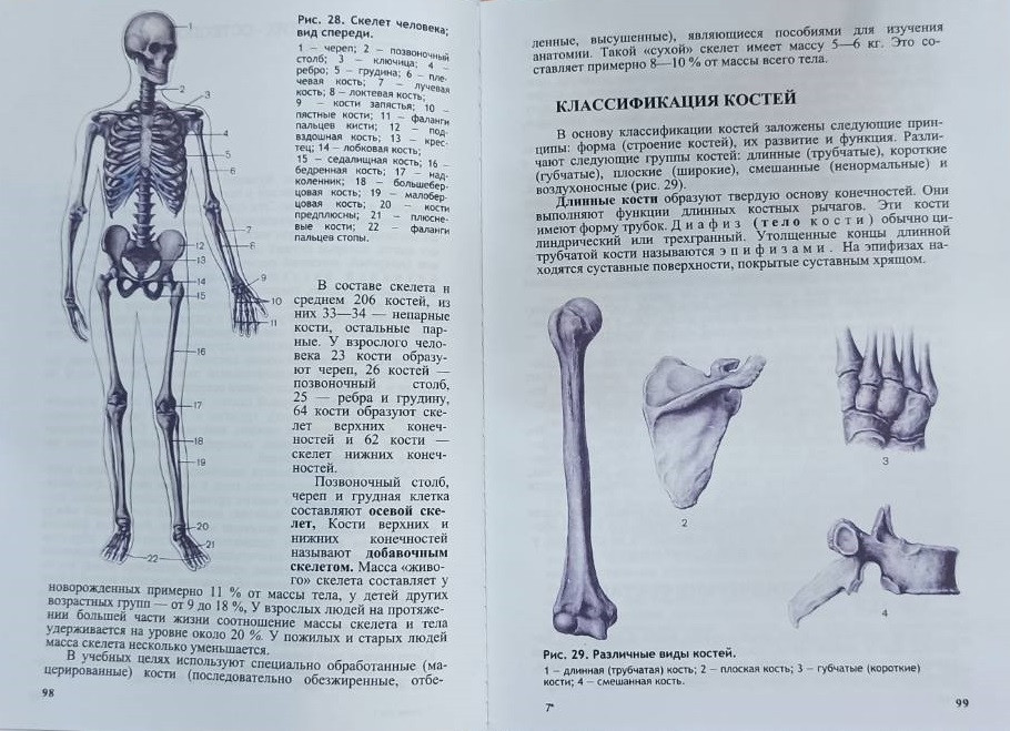 Анатомия человека. В 2-ух томах. Под редакцией М. Р. Сапина, 6 издание - фото 4 - id-p1577117411