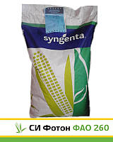 СИ Фотон, ФАО 260, семена кукурузы Syngenta (Сингента)