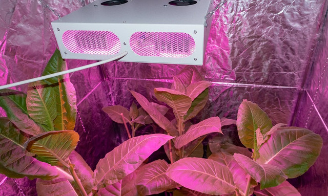 Фитолампа для гроубокса 200W