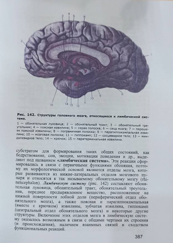 Анатомия человека. В 2-ух томах. Под редакцией М. Р. Сапина, 6 издание - фото 8 - id-p1577117411