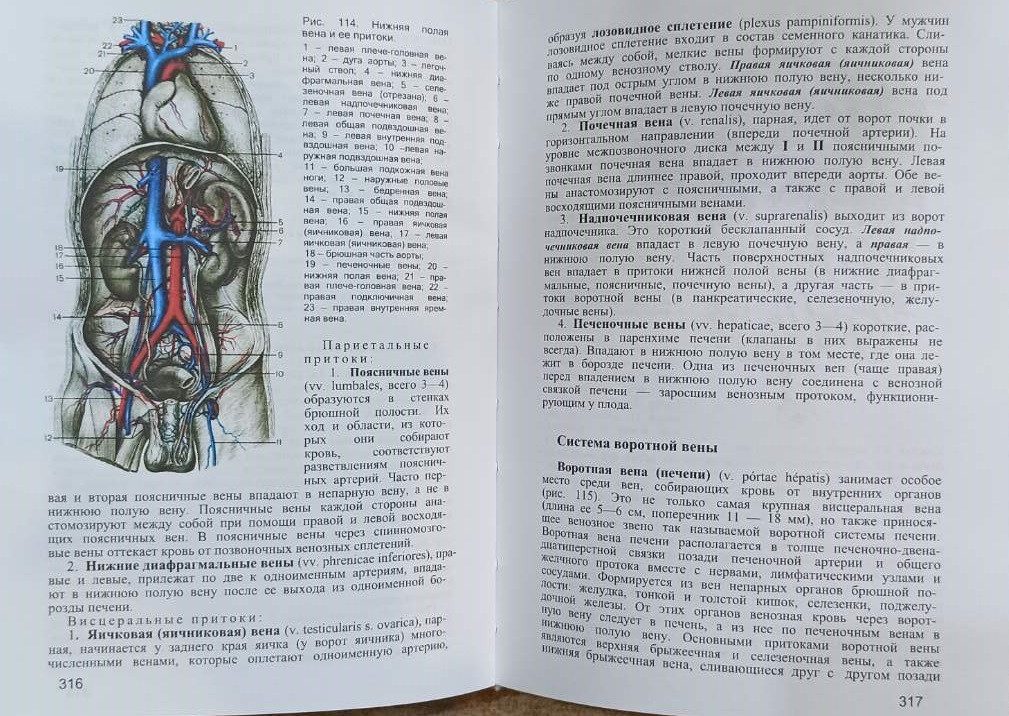 Анатомия человека. В 2-ух томах. Под редакцией М. Р. Сапина, 6 издание - фото 9 - id-p1577117411