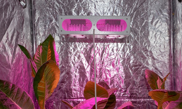 Фитолампа для гроубокса 200W