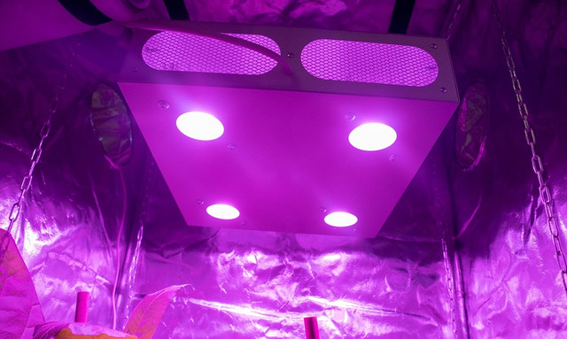 Фитолампа для гроубокса 200W