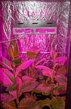 Фіто Led-лампа Гагарин-3 на 5-6 рослин 348W, фото 8