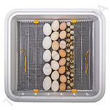 Інкубатор Теплуша Greeny 88 ЛМ + Овоскоп Теплуша, фото 7