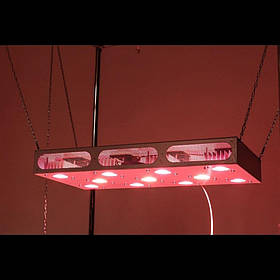 Фіто Led світильник Гагарин 4 550W на 12 рослин